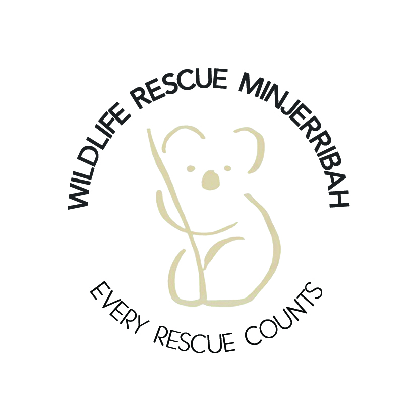 Wildlife Rescue Minjerribah logo